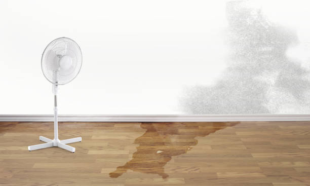 Reliable Bonnie Brae, IL Water damage restoration Solutions