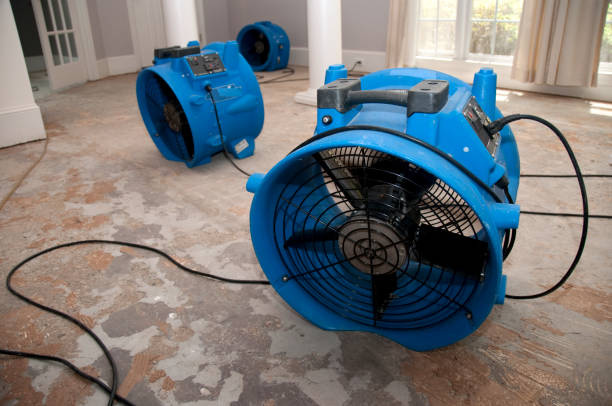 Best Flood restoration services  in Bonnie Brae, IL