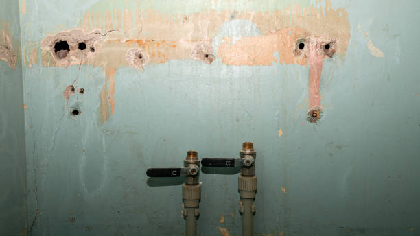 Carpet water damage restoration in Bonnie Brae, IL